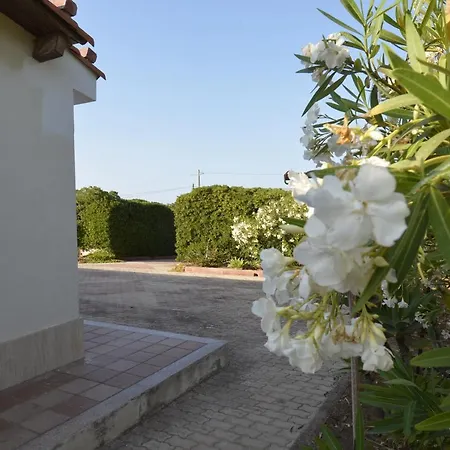 Chiara Villa